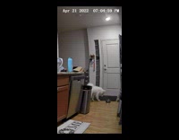 Pet dog screams with paw stuck on the bowl