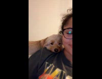 Collab Clips MPUGC - Dog rests head on hoomans shoulder 