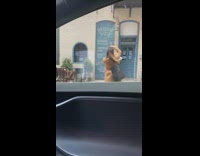 Filmer inside car reverse woman yellow dress donut