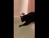 Collab Clips MPUGC - Cat joins hooman on bathtub 