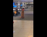 Collab WINY - Person wear inflatable dinosaur costume at airport
