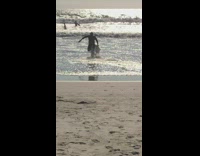 Man rides boogie board falls at beach