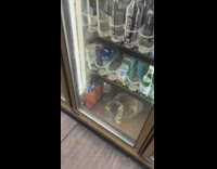 Cat found inside store refrigerator 