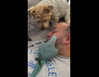 Man with his dog at the living area and talks 