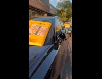Parked cars with parking barnacle on windshield