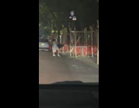 Person thrusting on other person in street