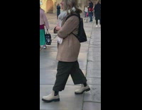 Pet dog on a leash barks at the robot dog at the park