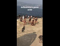 Group women black bikini beach rocks pictorial Part 2