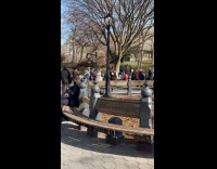Wedding couple dance with crowd at park