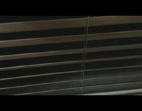 Lizard grow another tail on its tail window