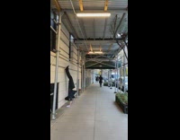 Person wearing purple gloves does handstand outside