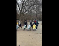 Group of dads stroller racing at park