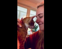 Girl pets and kisses orange cat 