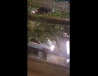 Guys steals tire car parked on street