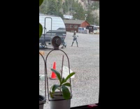 Woman gray jacket hoodie tiktok dance RV