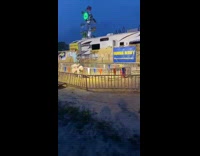 Two monkeys riding dogs around track at fair 