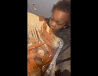 Collab Clips MPUGC2 - Kid biting freshly cooked crabs leg