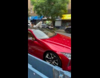 Collab WINY - White dog sits on top of red car facing front