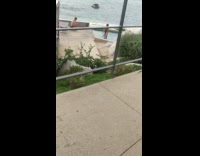 woman in pool steps pt 2