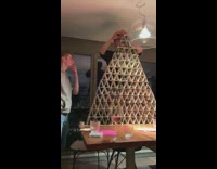 Assistant accidentally knock over tower of cards