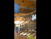 Small bat fly inside and around the supermarket