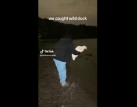 Collab BitchMP - Woman catches wild duck 