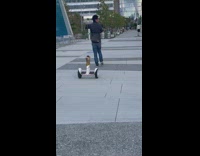 Man walking his hoverboard that has a dog mask on
