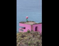 Man with pink afro wig poses on top of pink house