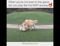 When you're not even in the game but you play like the mvp
