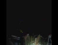 Guy catches giant snake in grass at night