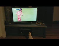(3RD PARTY CONTENT) Cat sits watches soccer game television home
