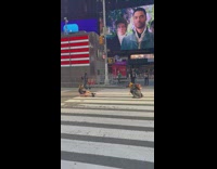 Woman sit middle street large advertisement screen
