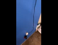 Orange kitten approach guy stand beside mirror