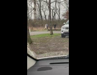 Couple taking pictures forest roadside