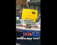 Collab WINY - Toy truck strapped on a large truck