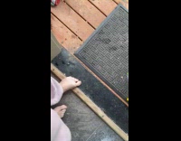 Moose approaching elderly while delivering groceries 