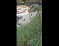 girl yoga poses rock river