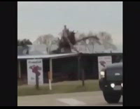 Man climbs onto roof of crawfish restaurant and rides giant shrimp, man in car yells with joy