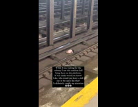 Collab Subway Creatures - Doll toy left on the train tracks