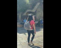 Mom drags little boy on leash 