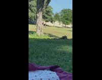 Three girls sports bra lock dance tiktok part 2