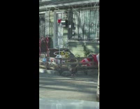 Recording of a chicken on the sidewalk