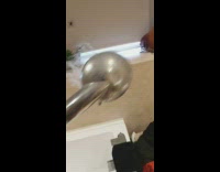 Woman sees big spider after spraying plant 