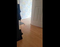 Small hamster runs past door 