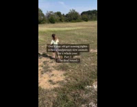 Collab AnimalIG - Girl names grandparents animals for a year 