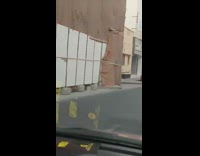 Men chasing ostrich in street