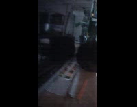 Two cats on both sides of TV