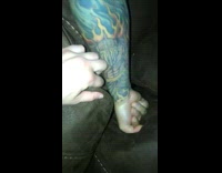 Cat hiding in seat couch cushion paw arm