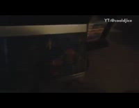 Dad turns on aquarium toy light baby