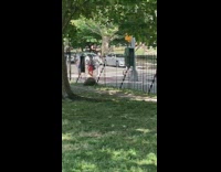 Red shirt guy balances basketball head bicycle